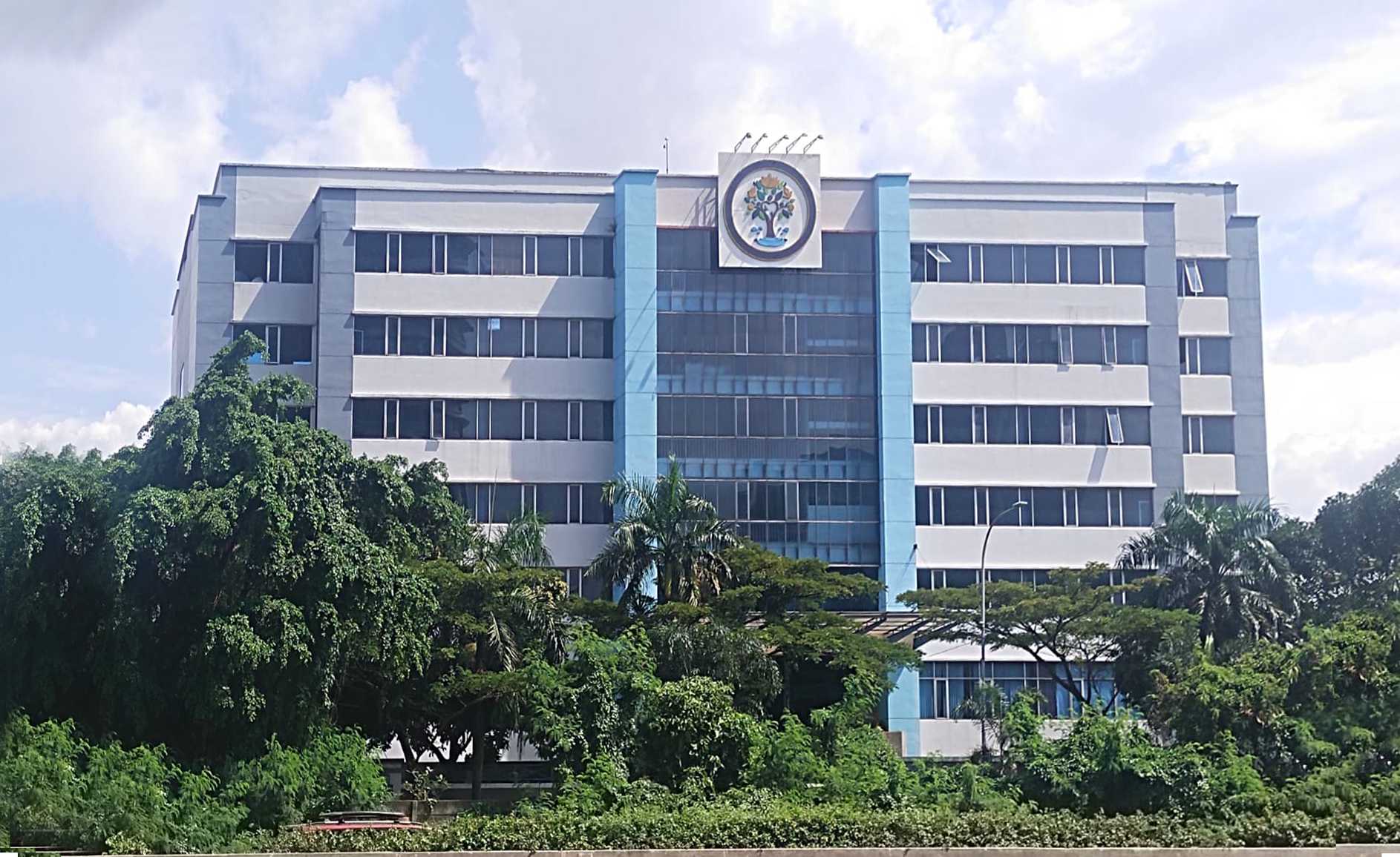 Portfolio Image