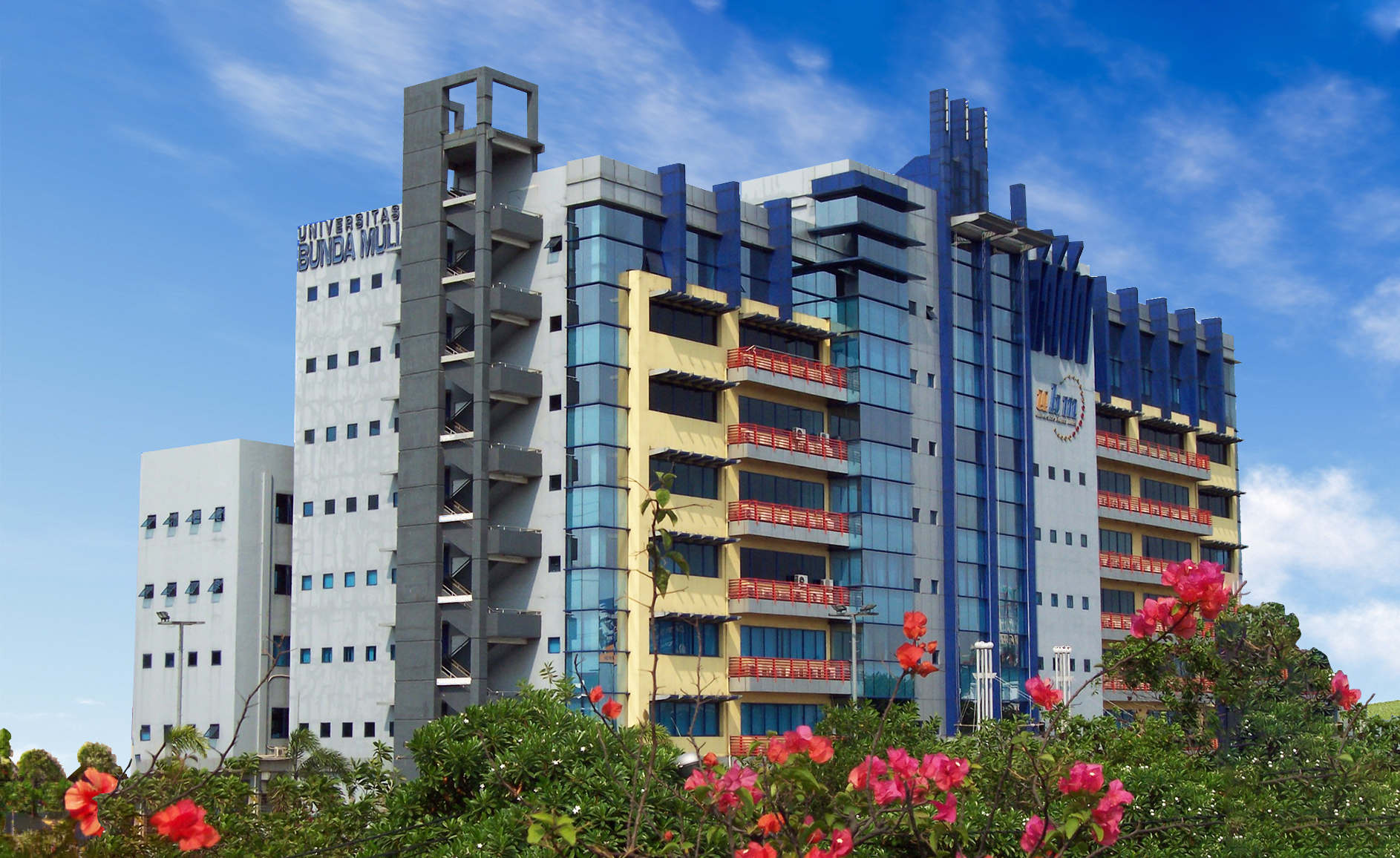 Portfolio Image